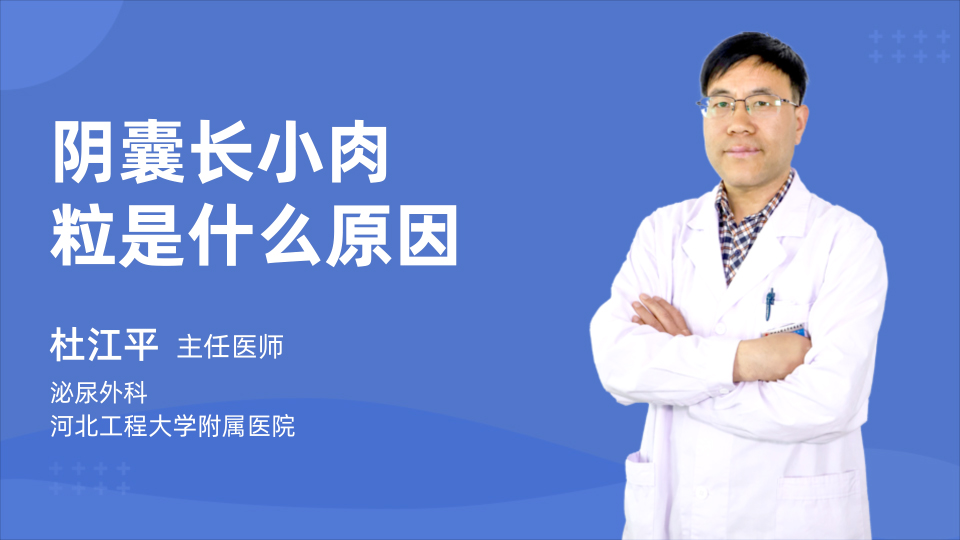 阴囊长小肉粒是什么原因