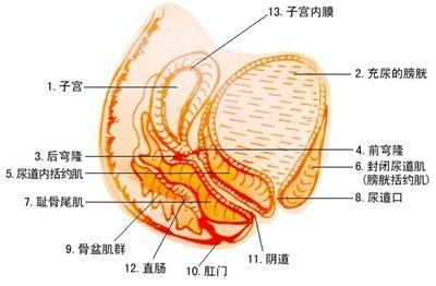导致女性患阴道炎的原因